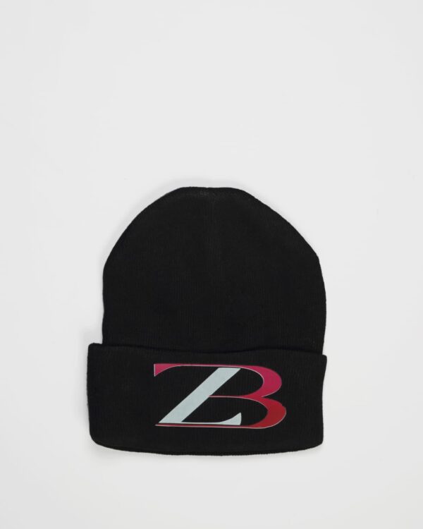 Zasberry Logo ZB Beanie Hoodie In Black
